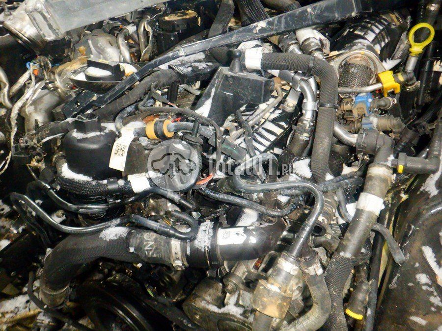 Фото Land Rover Range Rover 216