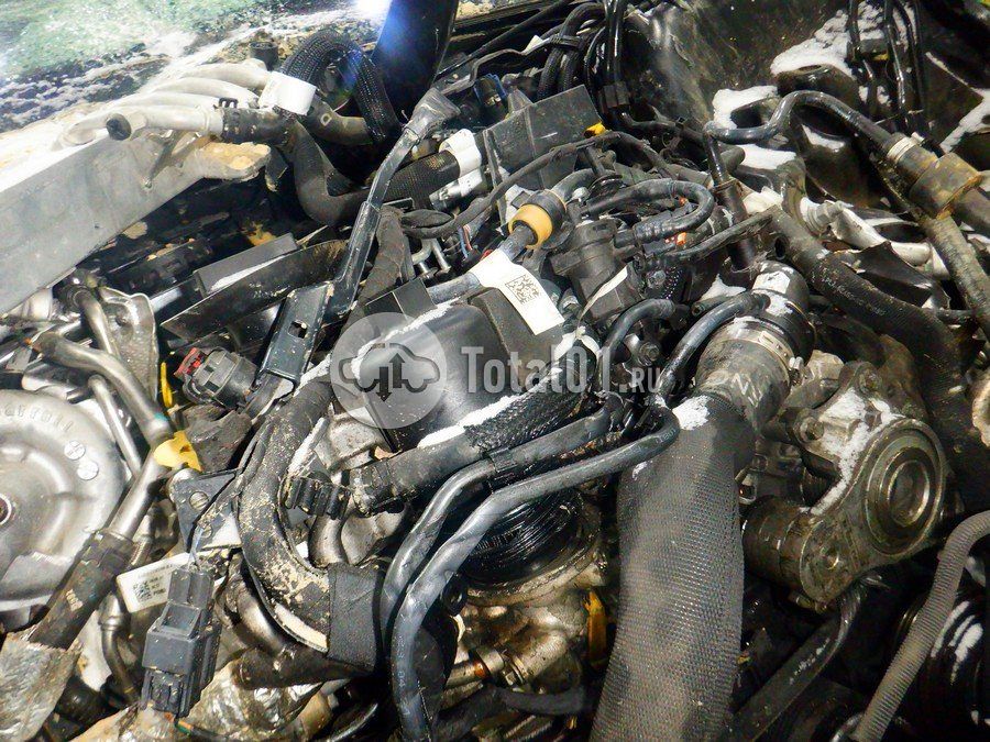 Фото Land Rover Range Rover 234