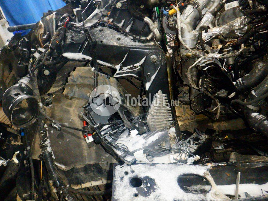 Фото Land Rover Range Rover 264