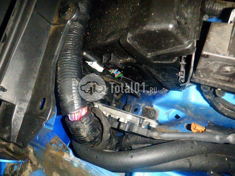 Фото Dongfeng ZN 274