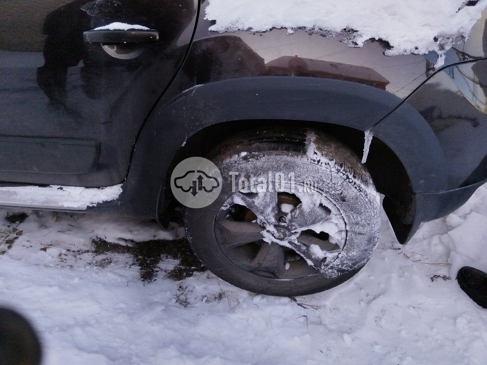 Фото Renault Duster 50