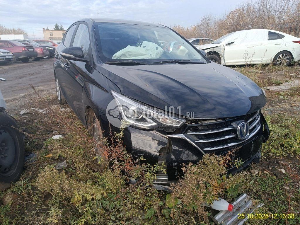 Фото Changan Alsvin 8