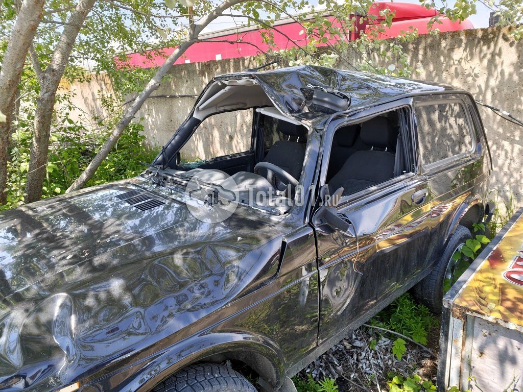 Фото ВАЗ (LADA) 4x4 (Нива) 6