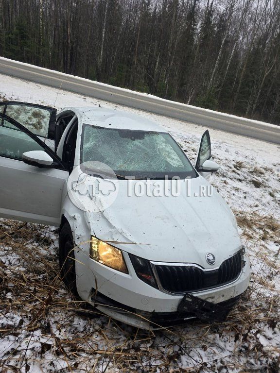 Фото Skoda Octavia 4