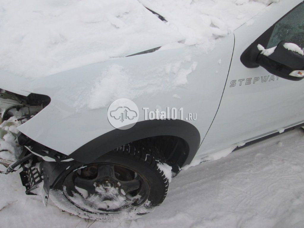 Фото Renault Sandero 30