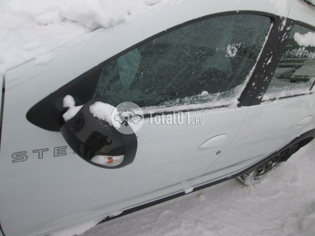 Фото Renault Sandero 32