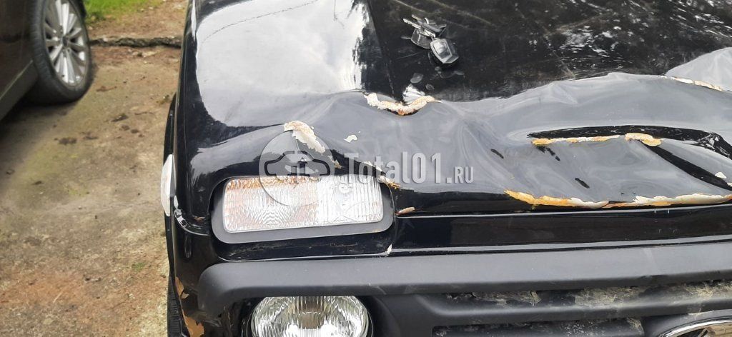 Фото ВАЗ (LADA) 4x4 (Нива) 110