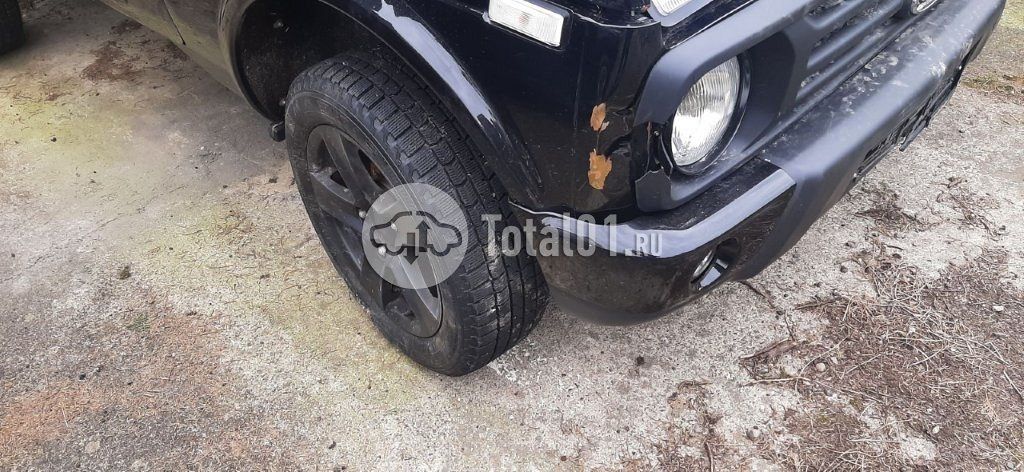 Фото ВАЗ (LADA) 4x4 (Нива) 116