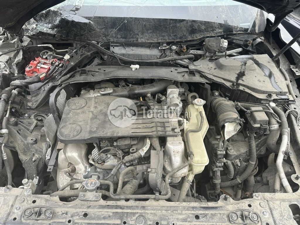 Фото Mazda CX-90 4