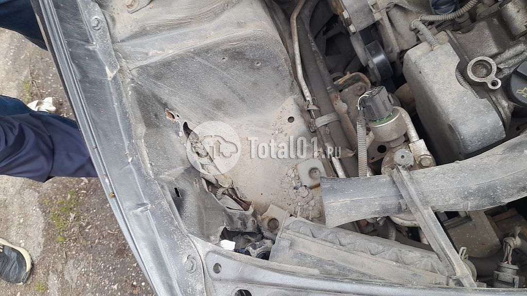 Фото FIAT Albea 20