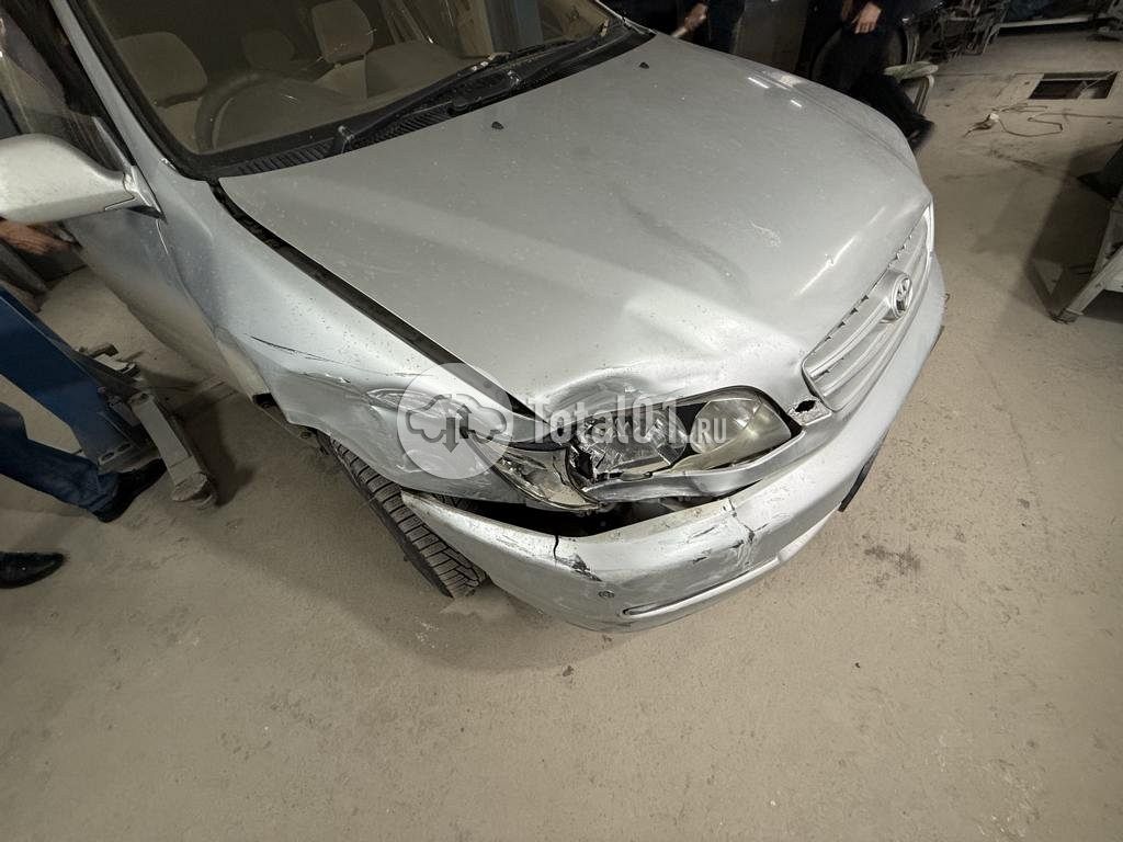 Фото Toyota Ipsum 12