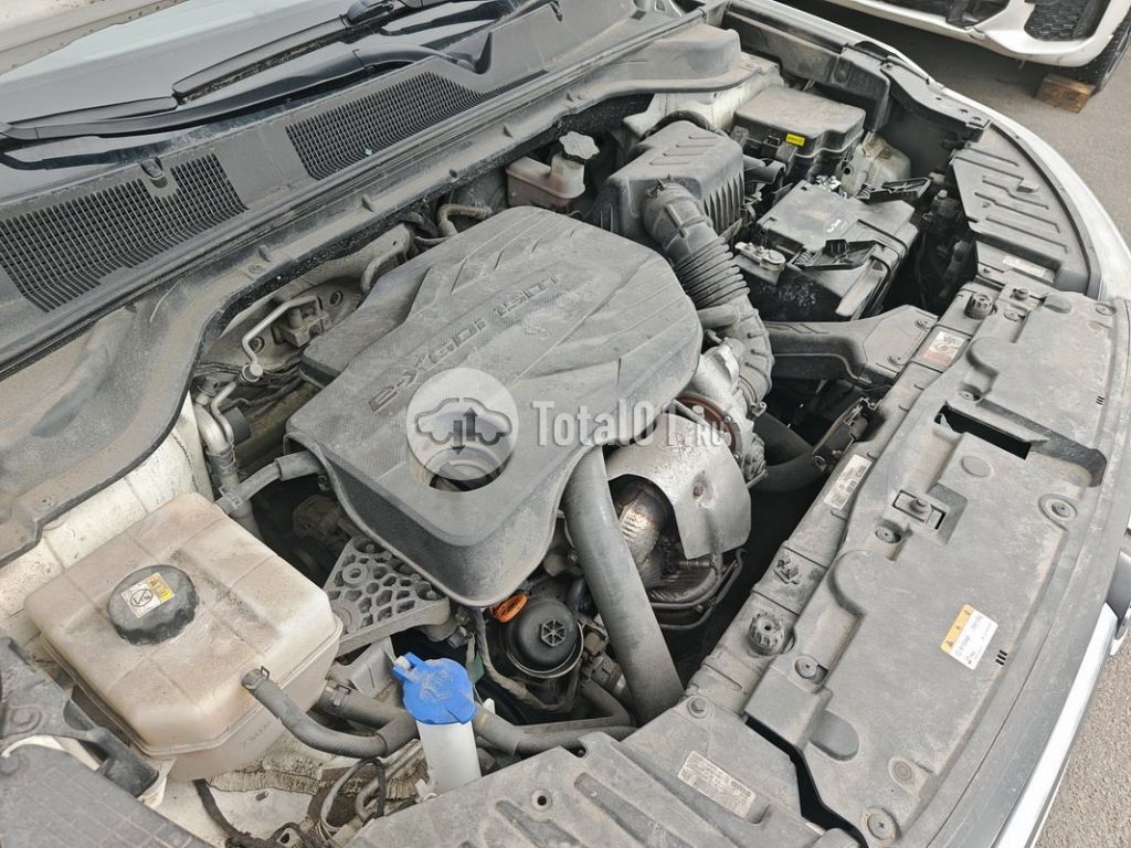 Фото SsangYong Korando 52