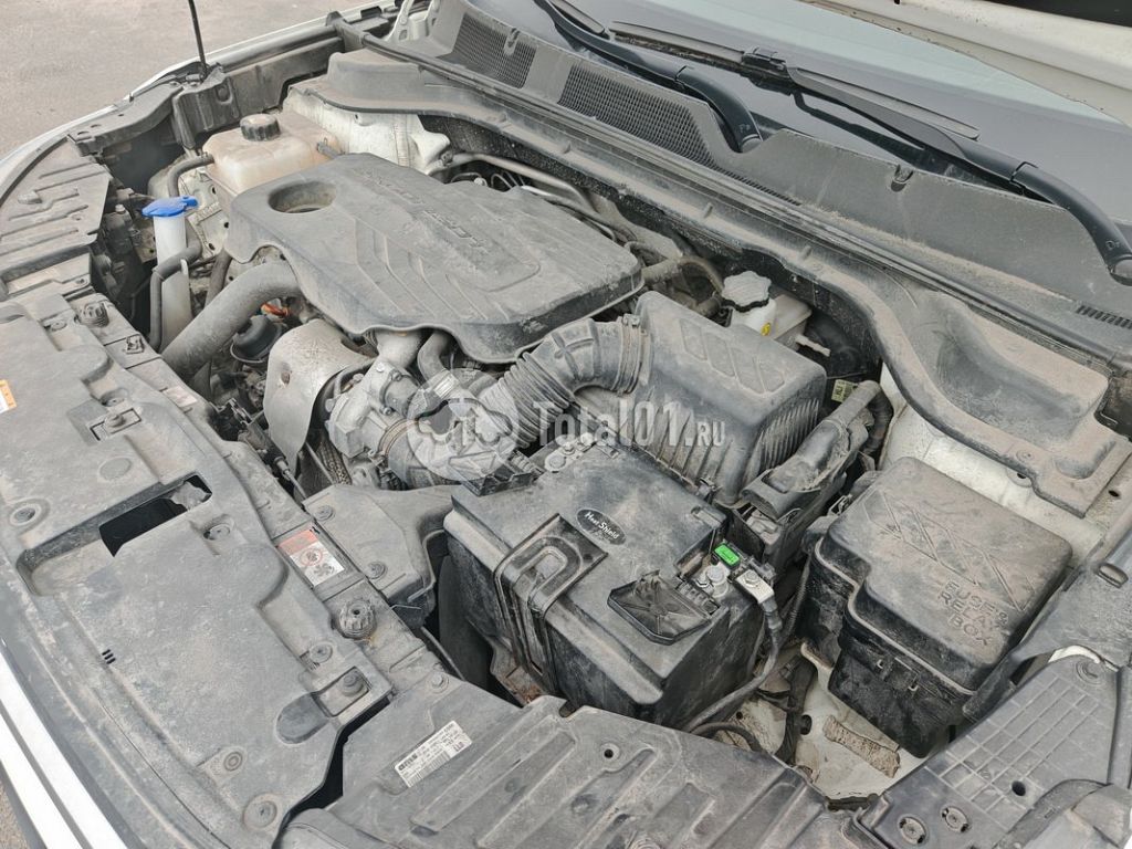 Фото SsangYong Korando 54