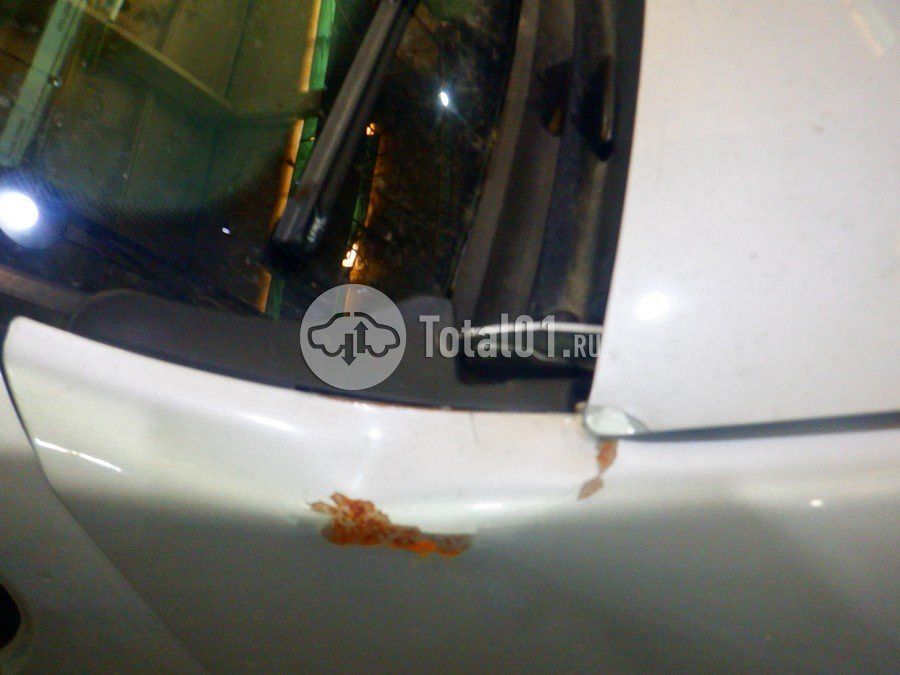 Фото Nissan Terrano 100