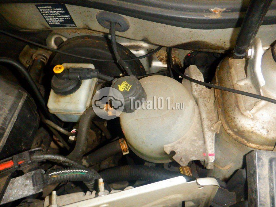 Фото Nissan Terrano 202