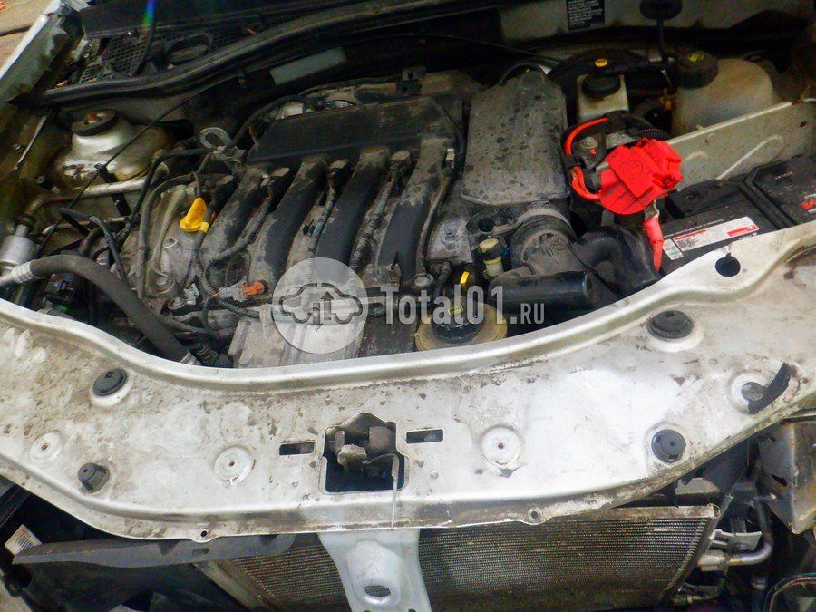 Фото Nissan Terrano 224
