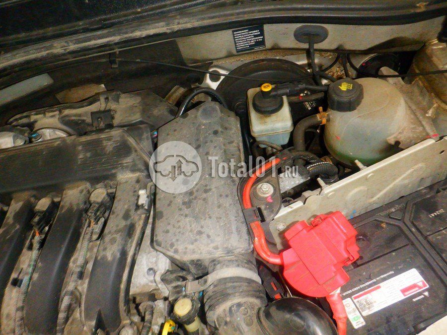 Фото Nissan Terrano 226