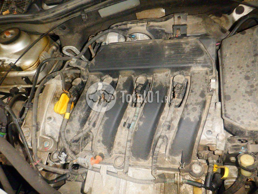 Фото Nissan Terrano 228
