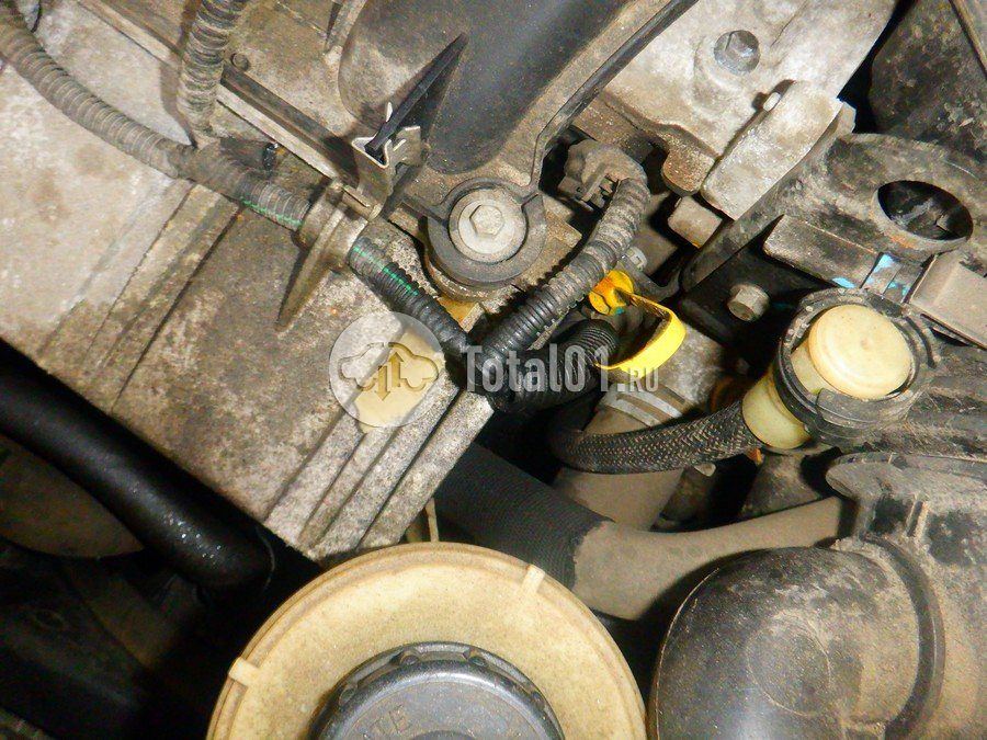 Фото Nissan Terrano 232