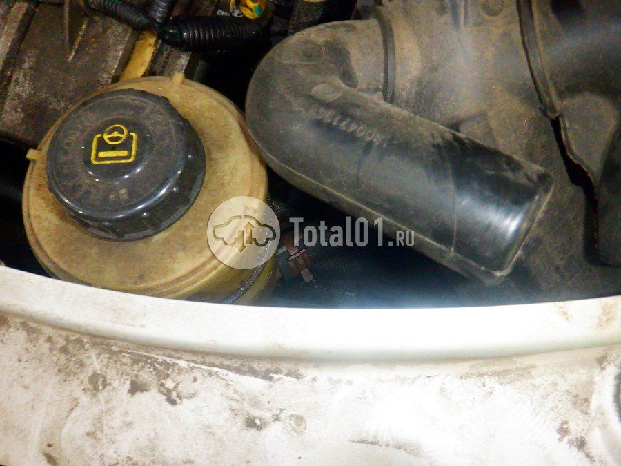 Фото Nissan Terrano 234