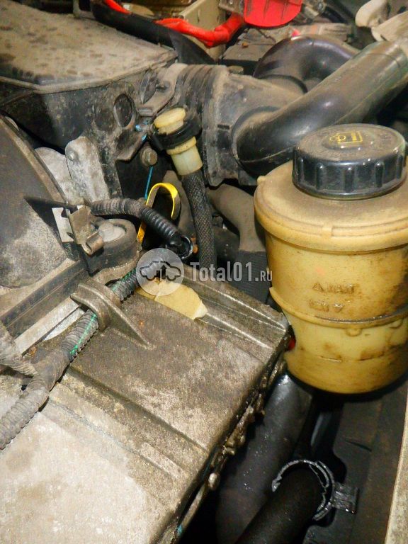 Фото Nissan Terrano 238