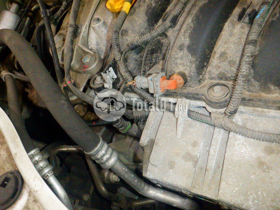 Фото Nissan Terrano 240