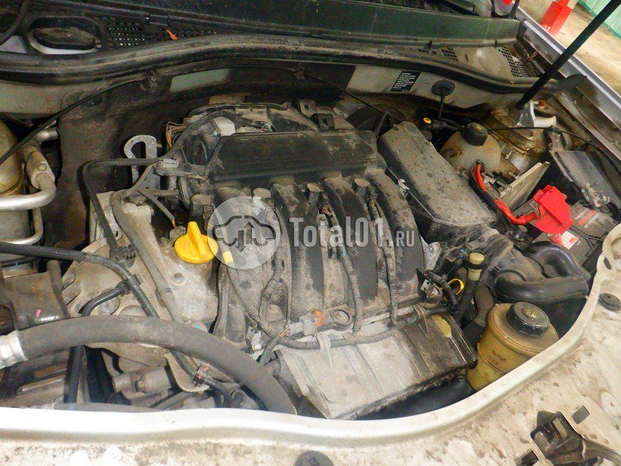 Фото Nissan Terrano 256