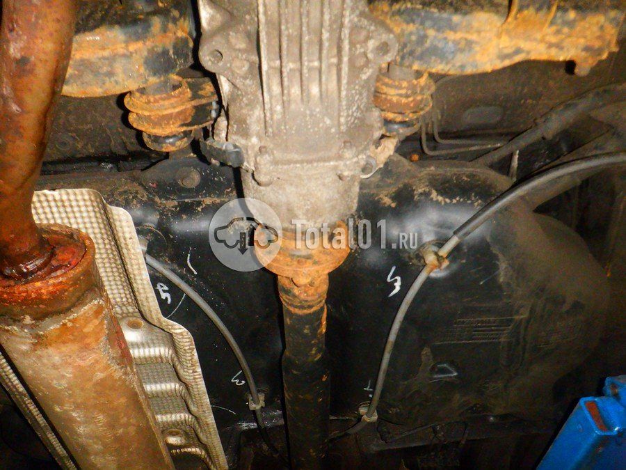 Фото Nissan Terrano 300