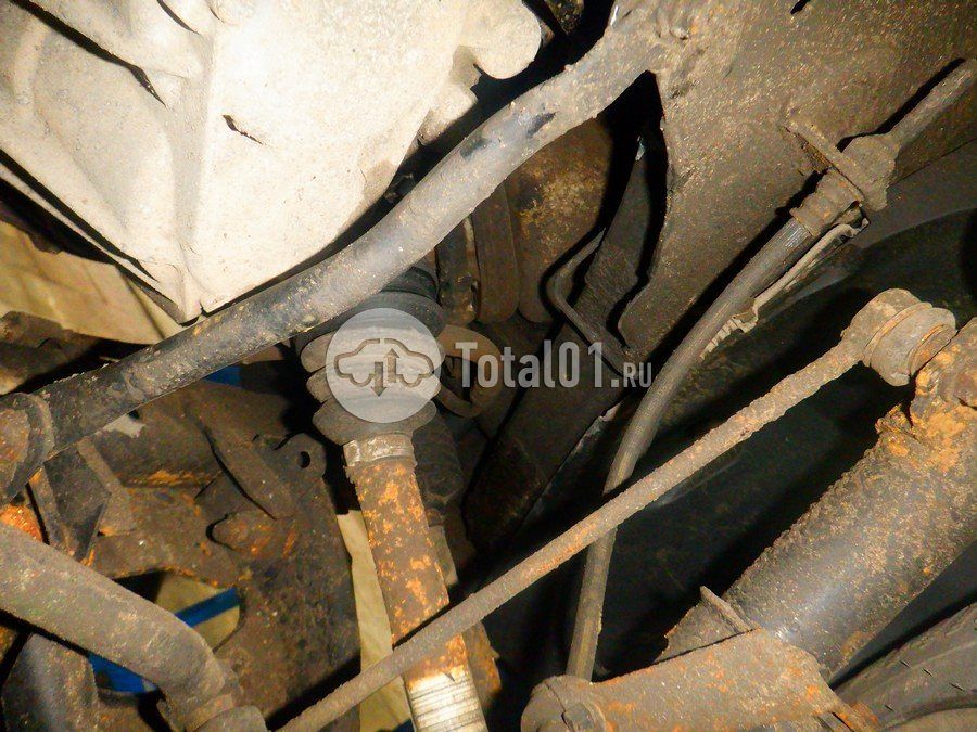 Фото Nissan Terrano 338