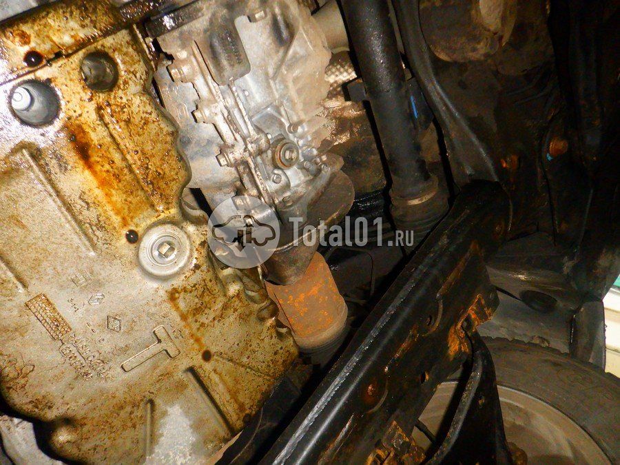 Фото Nissan Terrano 354