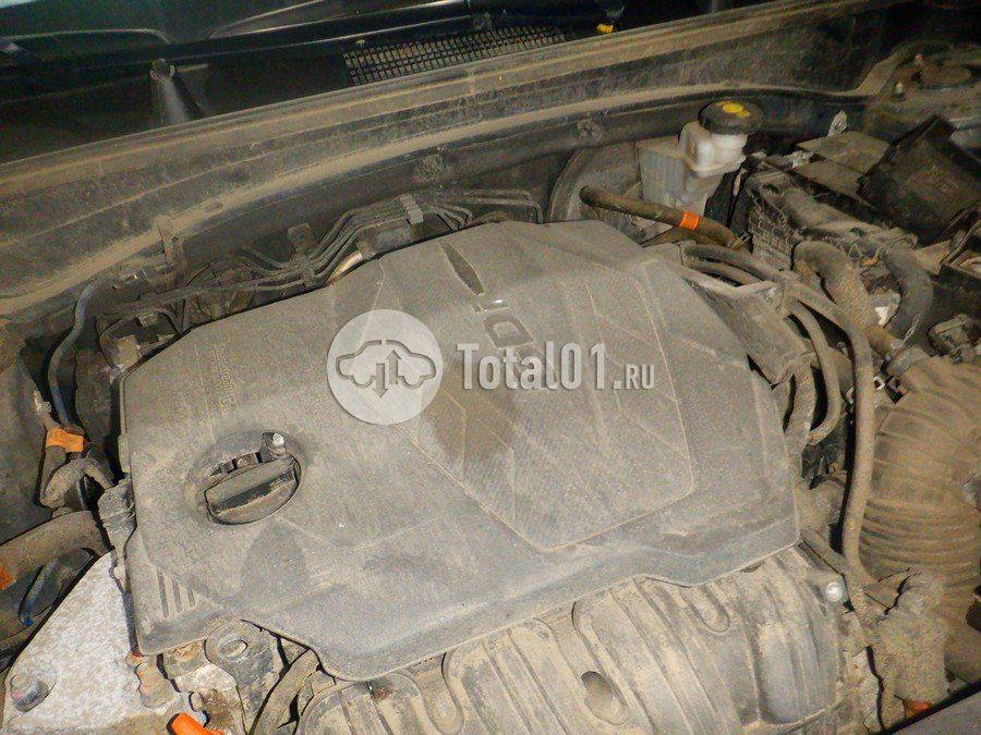 Фото KIA Sportage 274