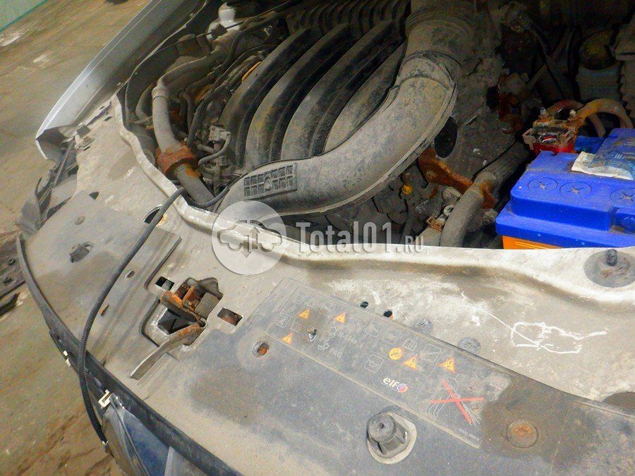 Фото Renault Duster 248