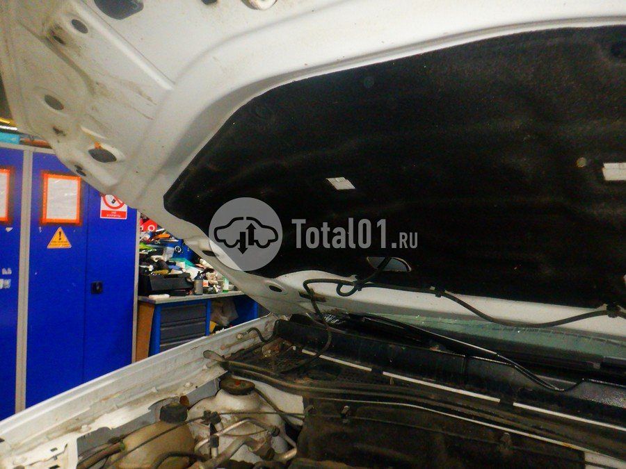 Фото Nissan Terrano 170