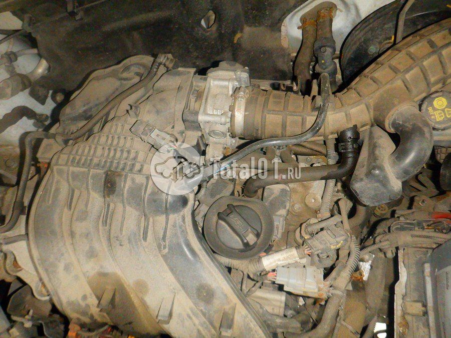 Фото Nissan Terrano 176