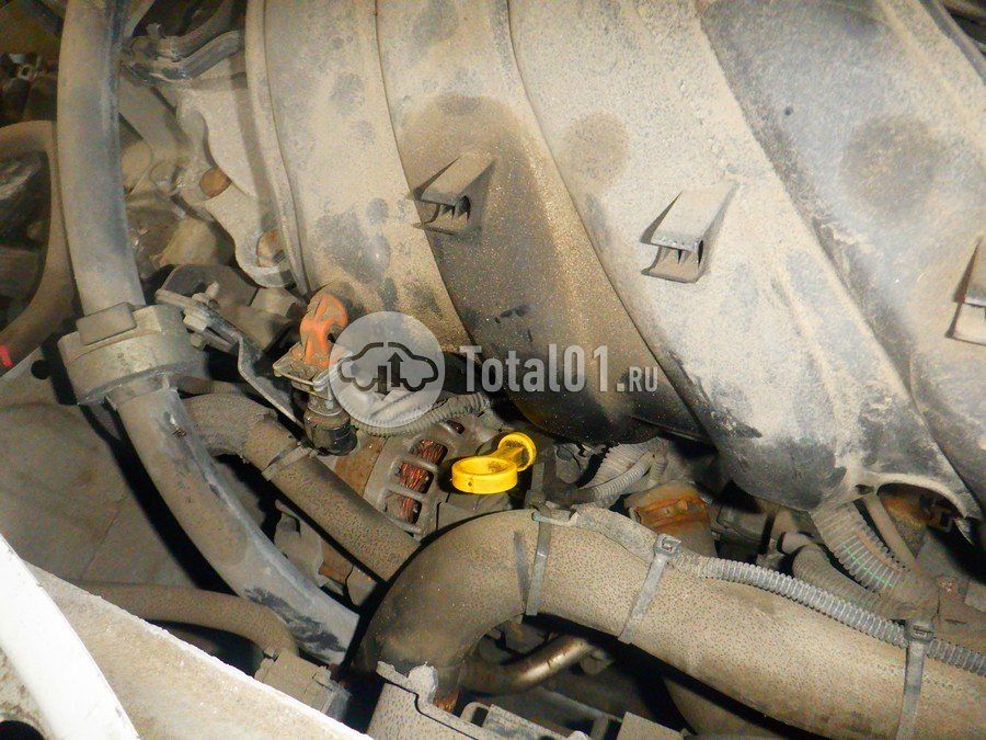 Фото Nissan Terrano 182