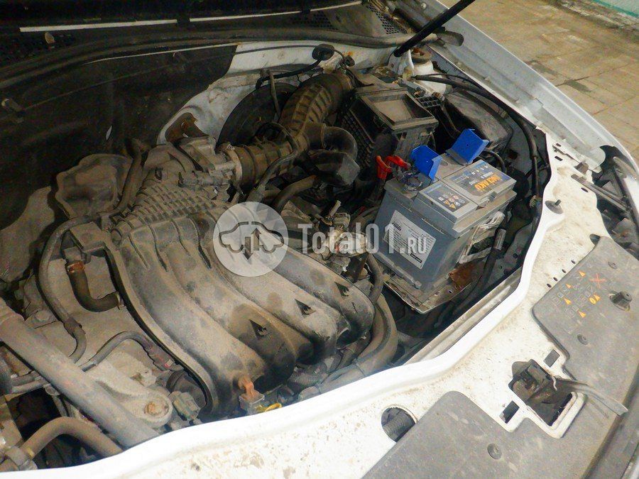 Фото Nissan Terrano 192