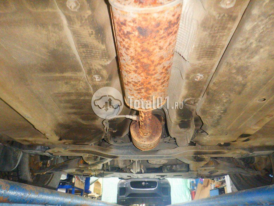 Фото Nissan Terrano 206