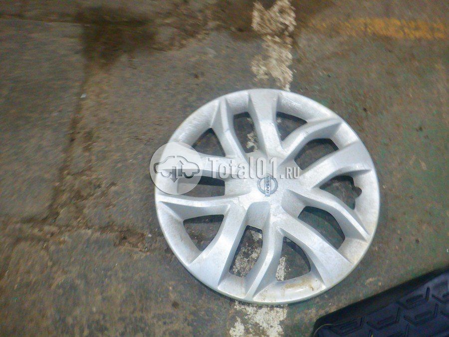 Фото Nissan Terrano 234