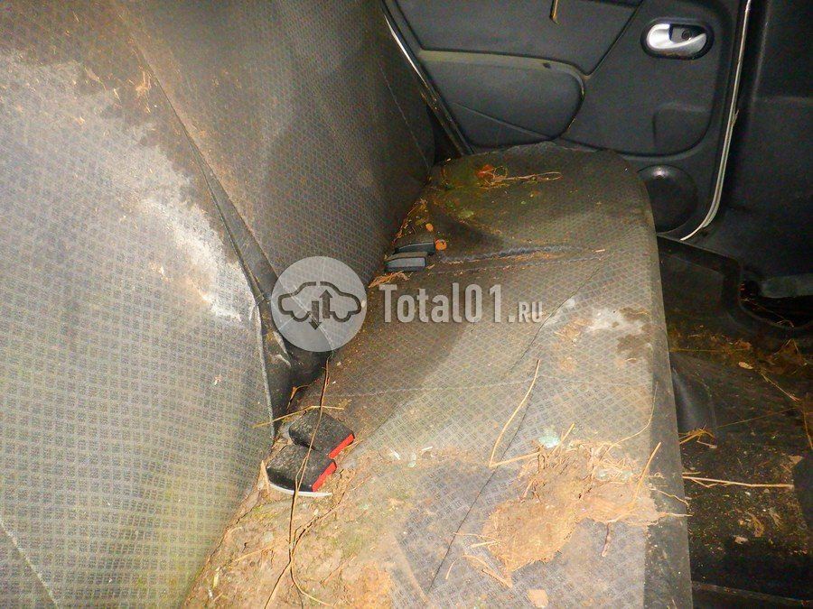 Фото Renault Sandero 56