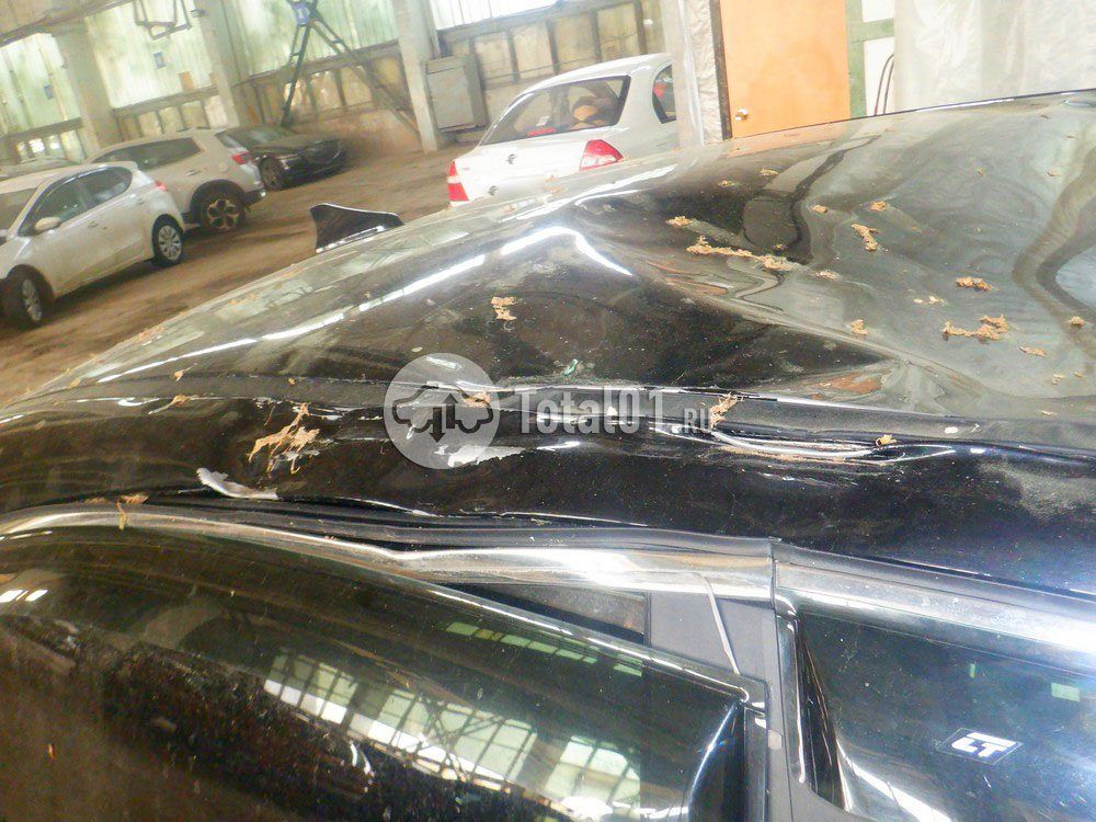 Фото KIA Cerato 136