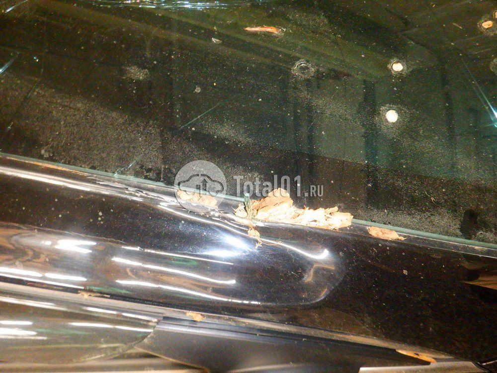 Фото KIA Cerato 170