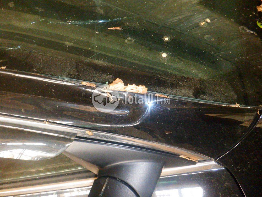 Фото KIA Cerato 172