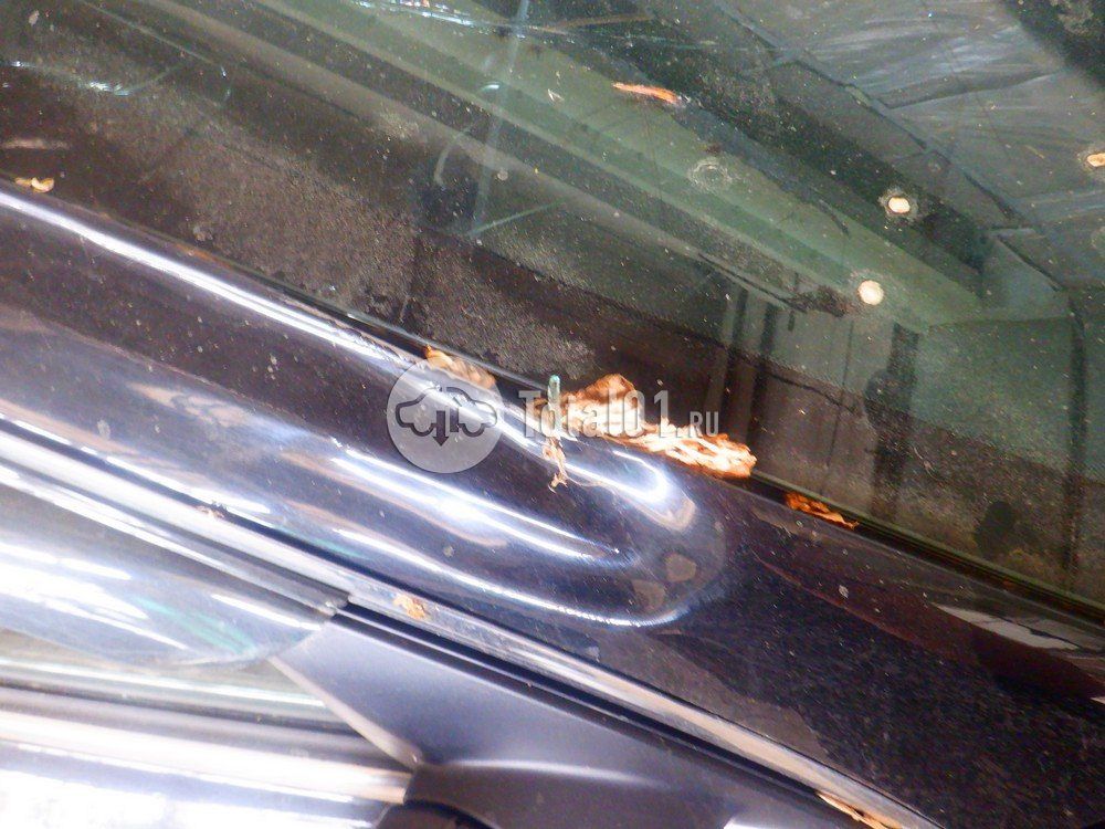 Фото KIA Cerato 176