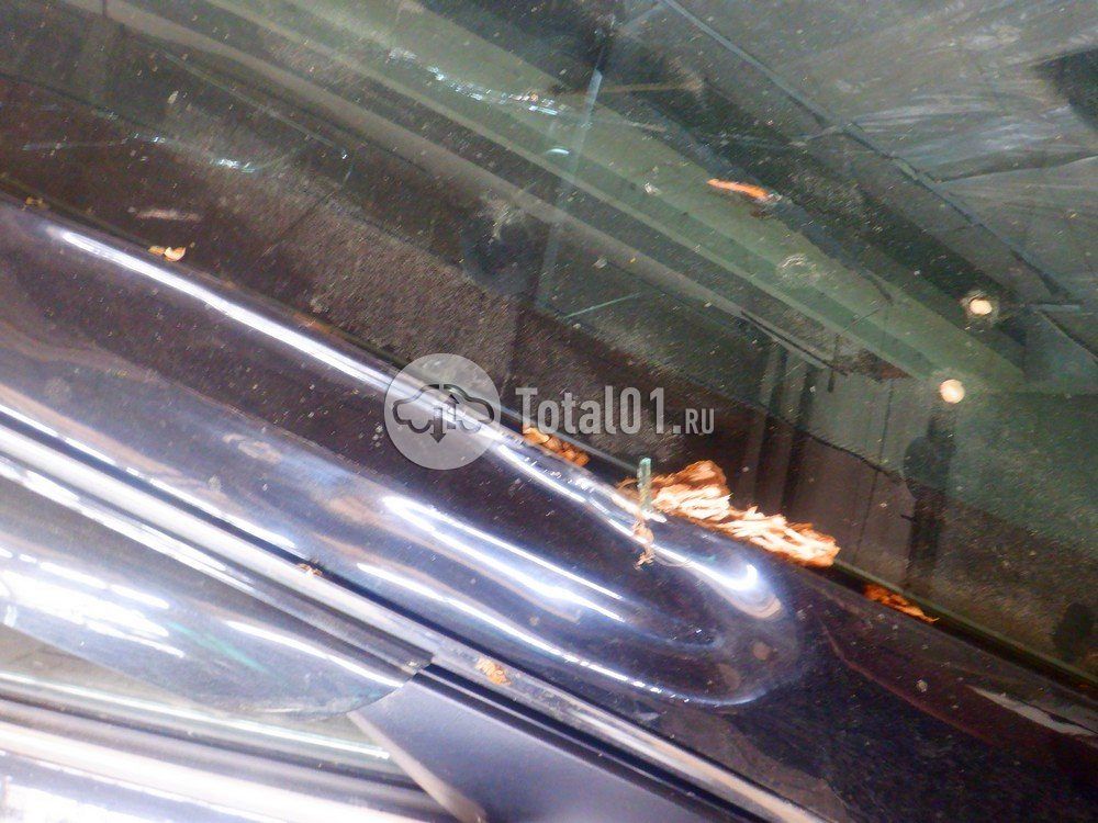 Фото KIA Cerato 178