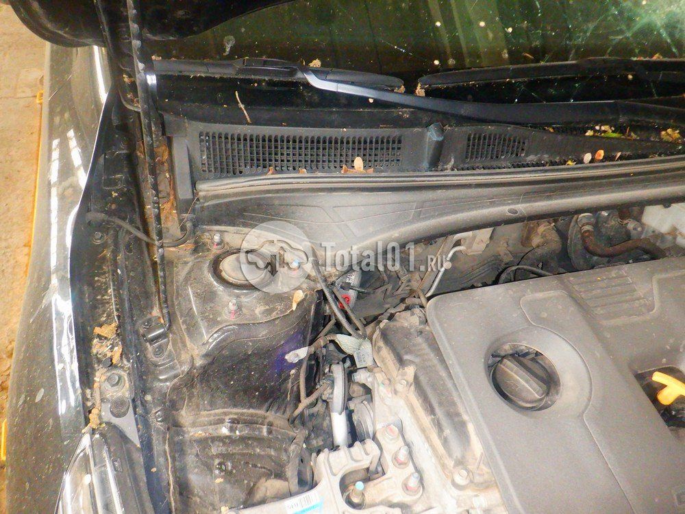 Фото KIA Cerato 190