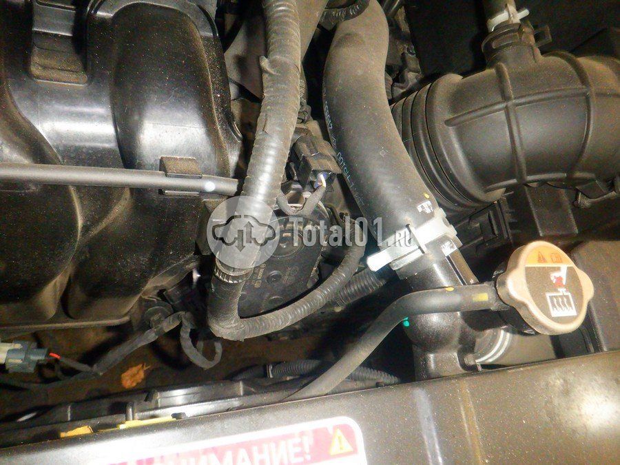 Фото KIA Rio 230