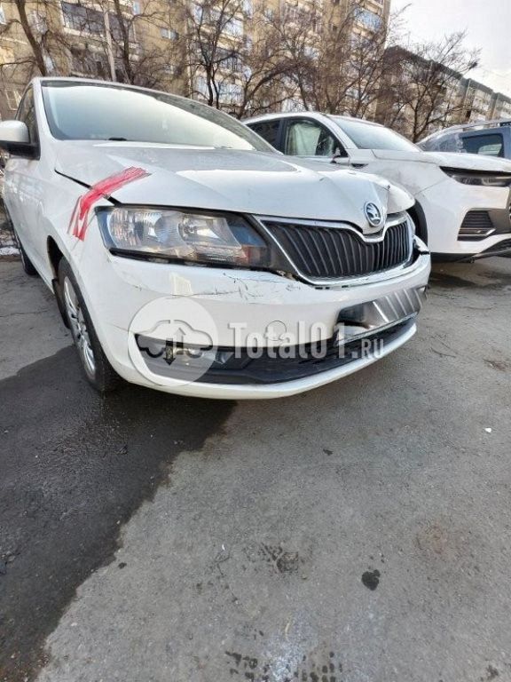 Фото Skoda Rapid 64