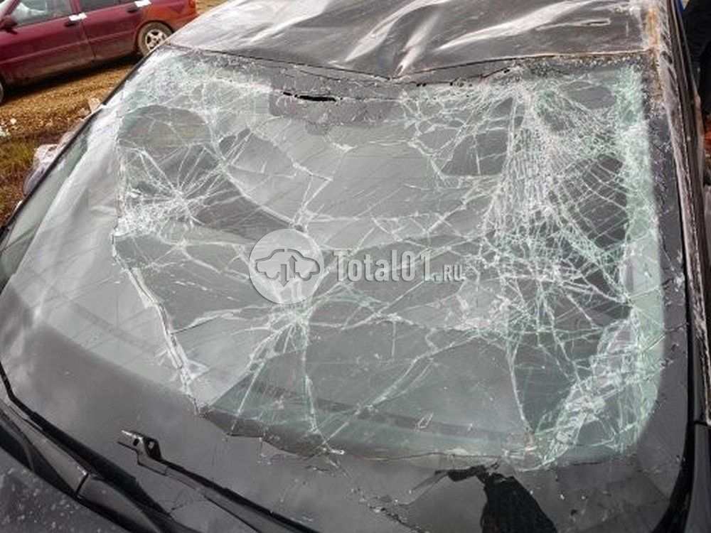 Фото Volkswagen Polo 16