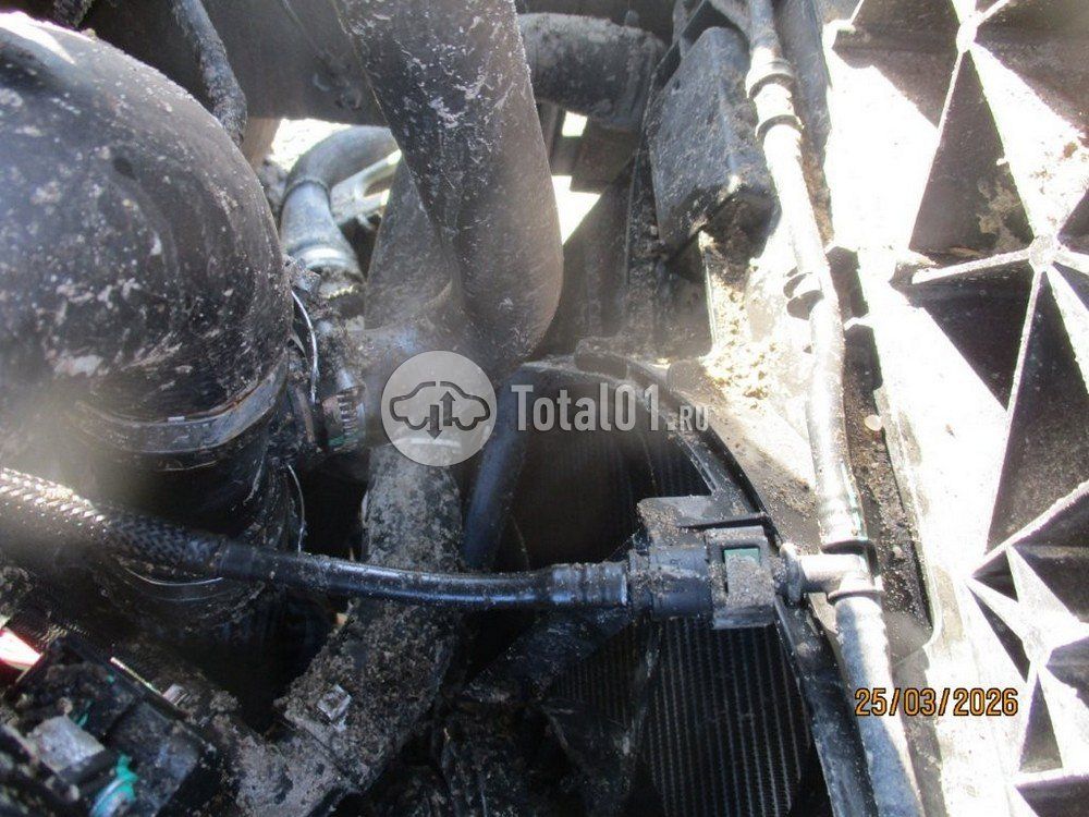 Фото Dongfeng MAGE 54