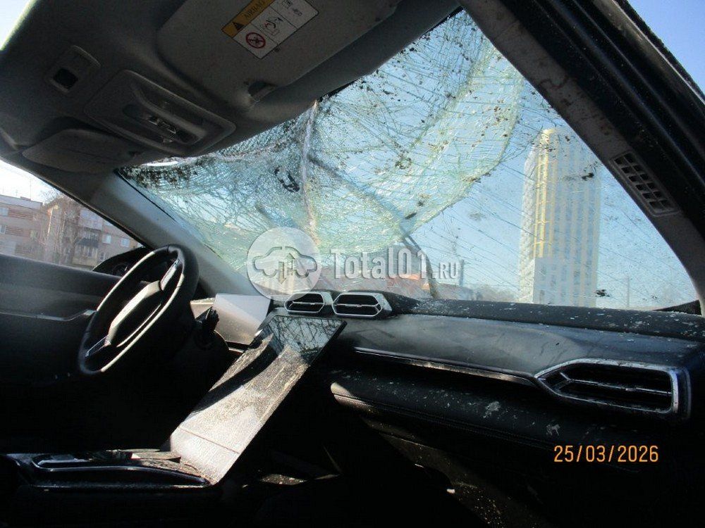 Фото Dongfeng MAGE 304